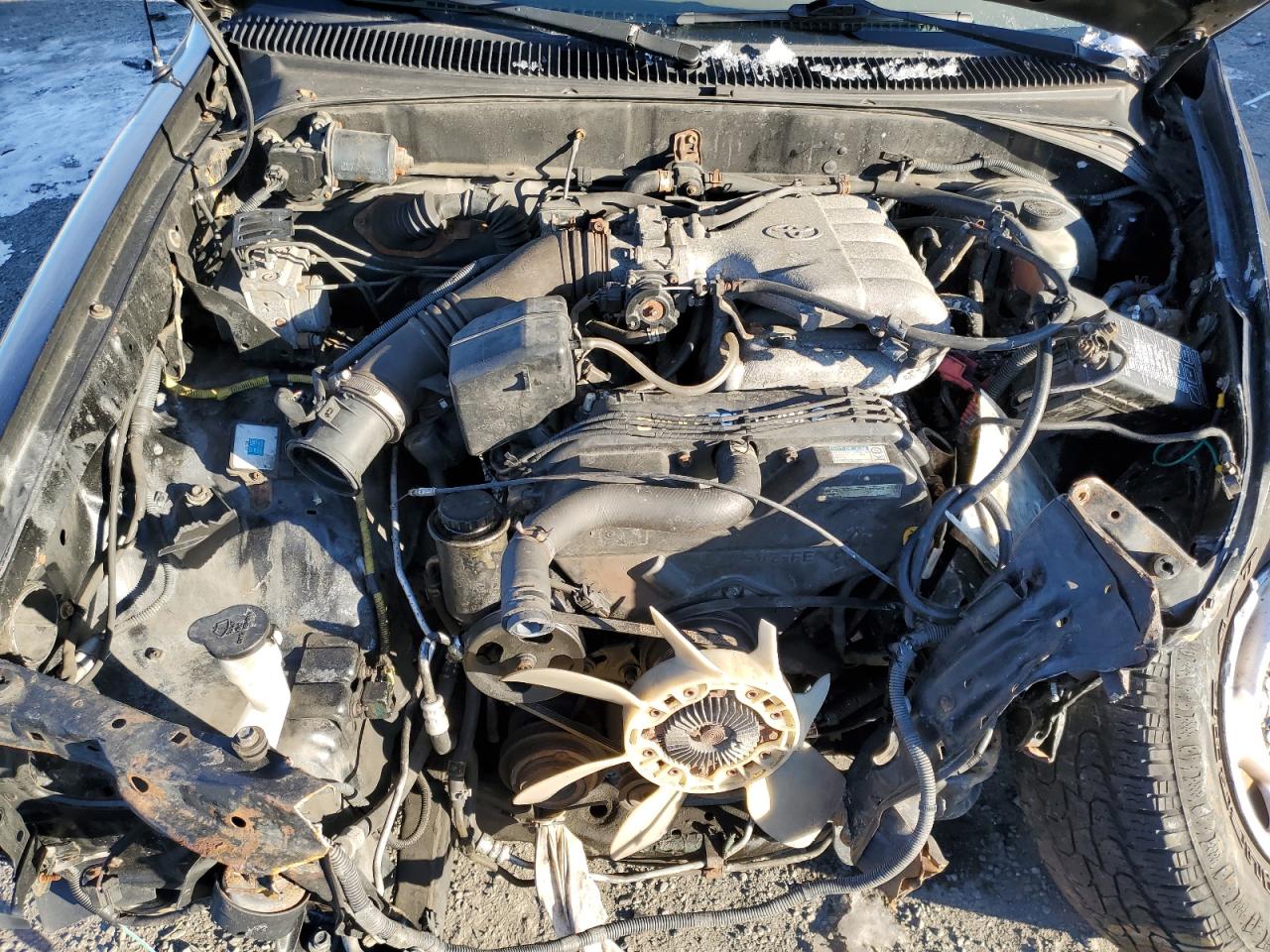 2004 Toyota Tacoma - Image 11