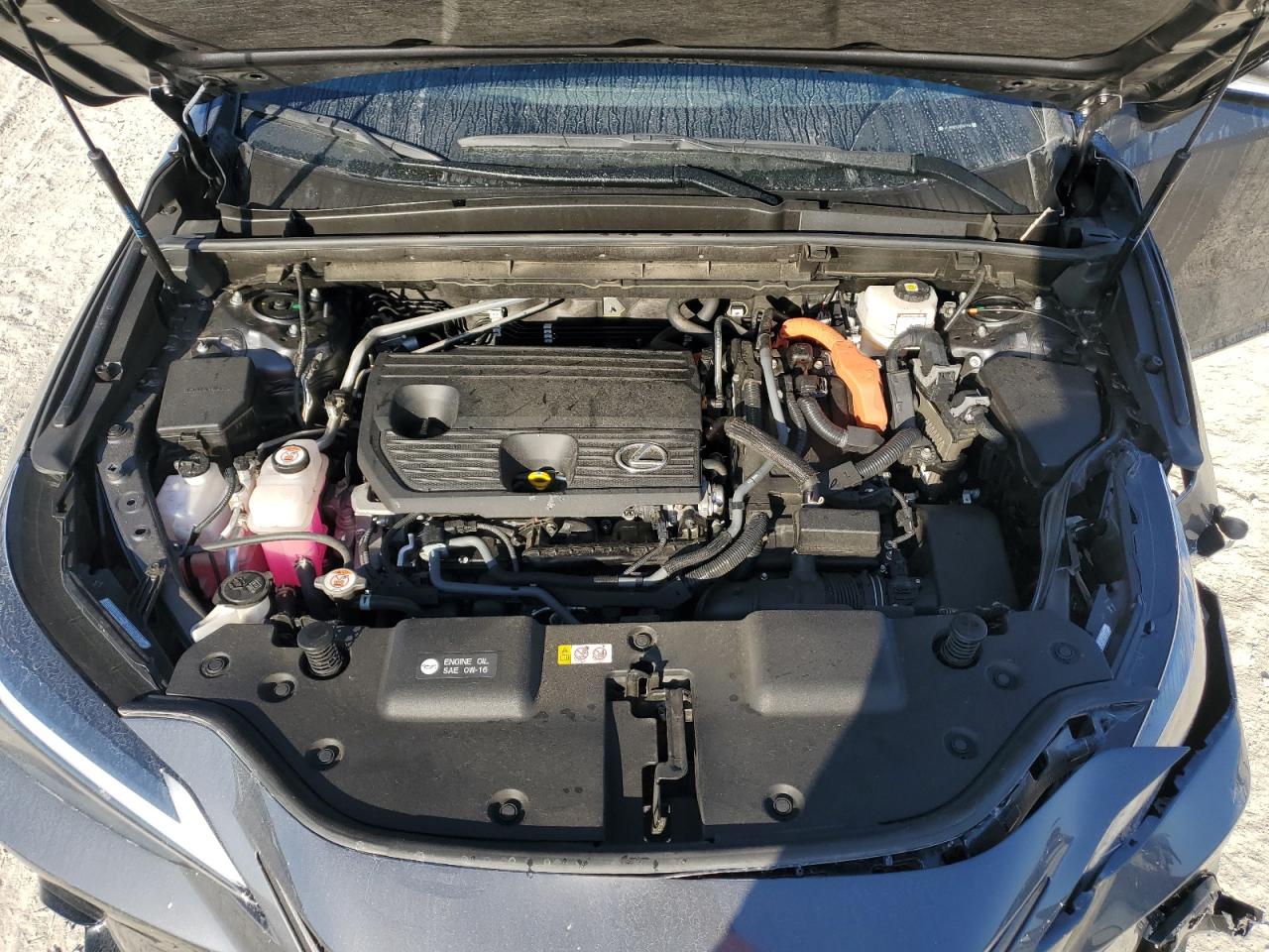 2023 Lexus NX - Image 11