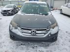 2013 Honda Cr-V Exl for Sale in Wichita, KS - Side