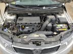 2010 Kia Forte Ex for Sale in Ham Lake, MN - Hail