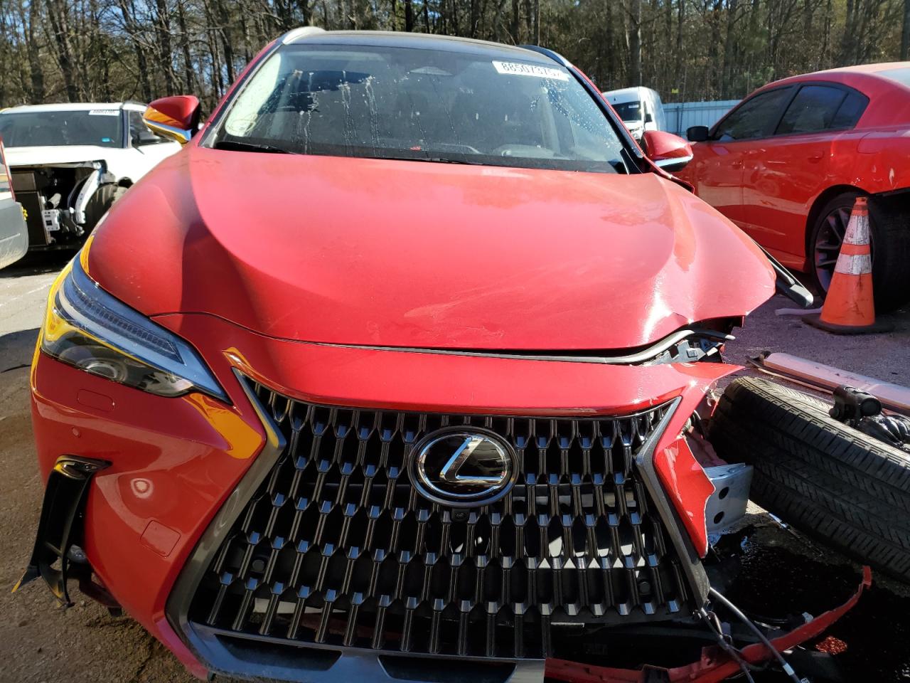 2024 Lexus NX - Image 5