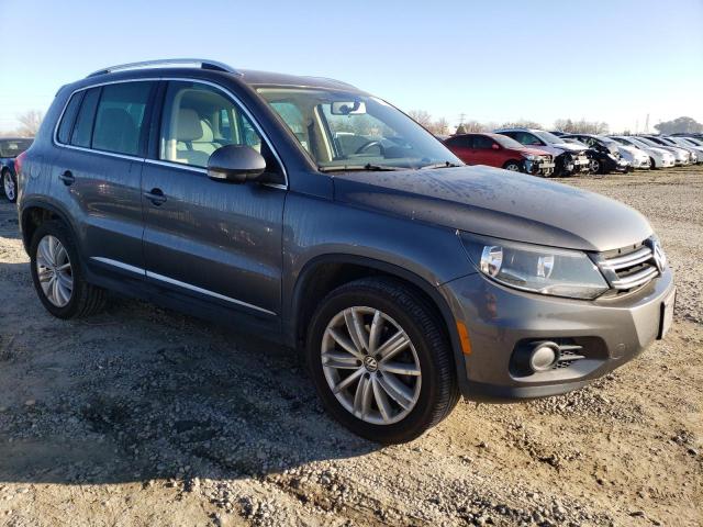 Паркетники VOLKSWAGEN TIGUAN 2013 Серый