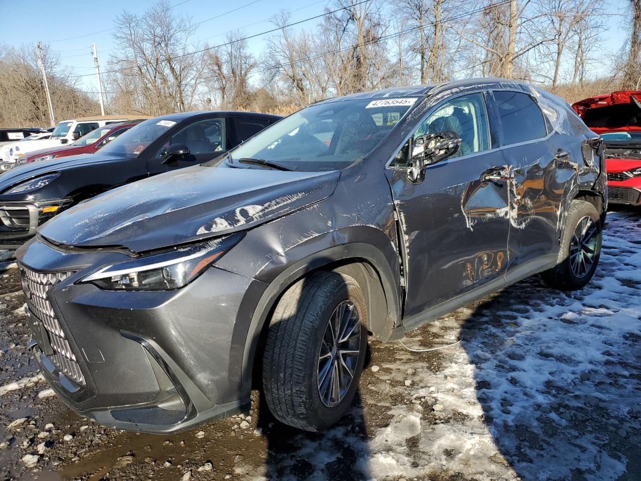 2024 Lexus NX - Image 1
