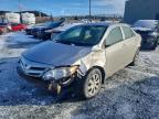 2012 TOYOTA COROLLA BASE for sale at Copart NS - HALIFAX