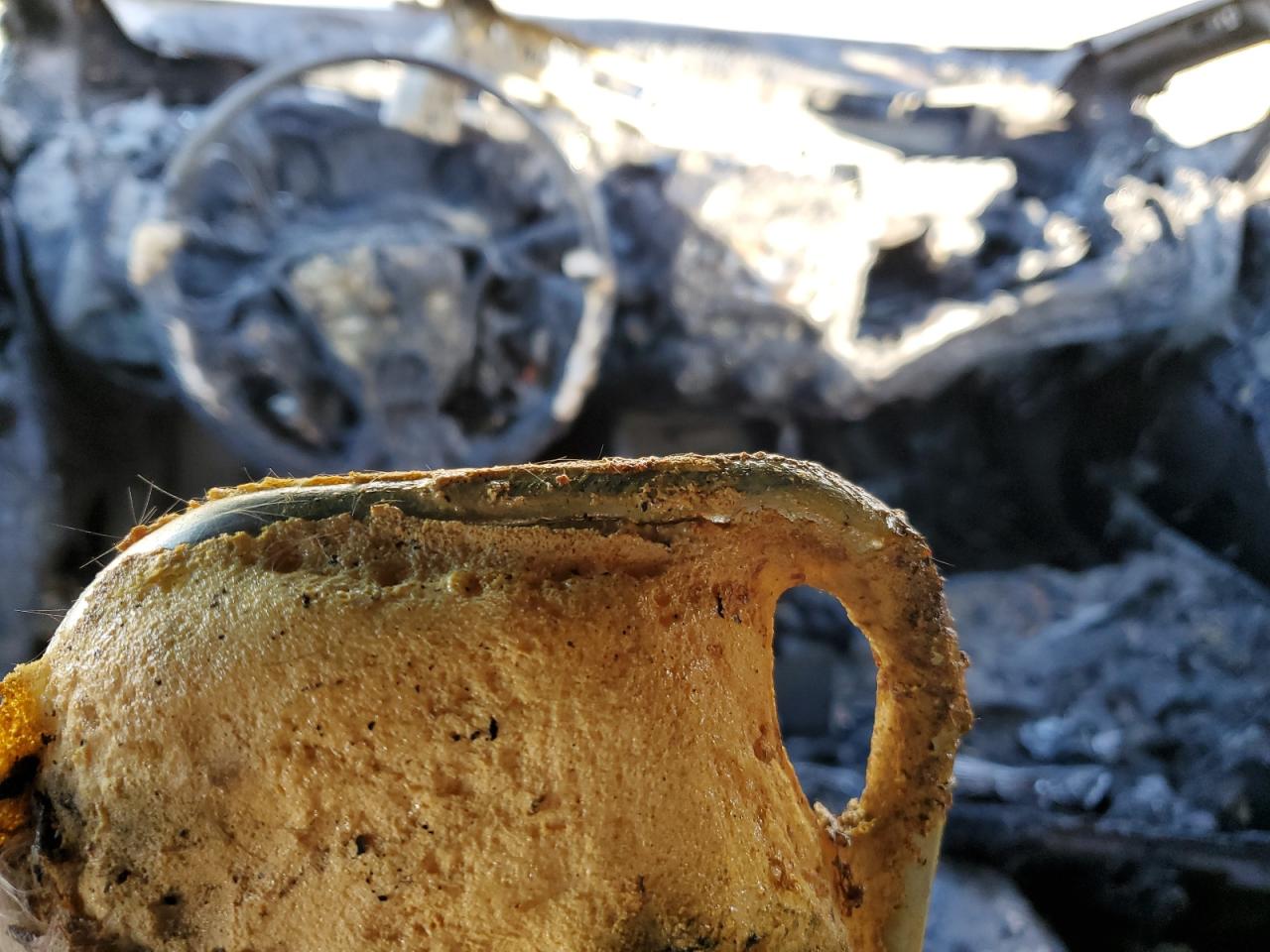 2017 Kia Forte Lx VIN: 3KPFL4A75HE041537 Lot: 42987395