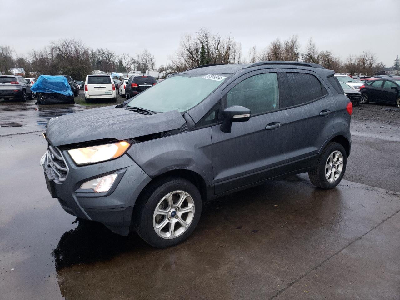 2019 Ford Ecosport Se VIN: MAJ6S3GLXKC307852 Lot: 87399944