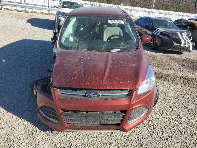 Паркетники FORD ESCAPE 2016 Червоний