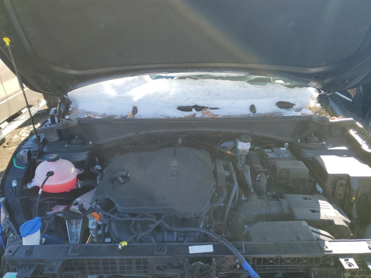 2024 Kia Sportage Ex VIN: 5XYK33DFXRG203226 Lot: 88259425