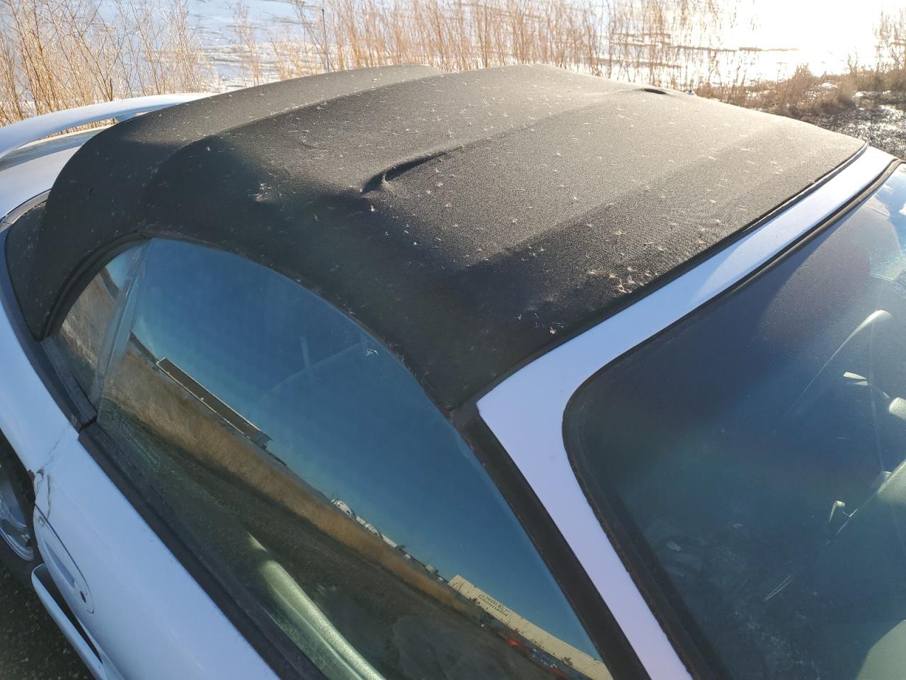 1999 Mitsubishi Eclipse Spyder Gs VIN: 4A3AX35G2XE062629 Lot: 87689125