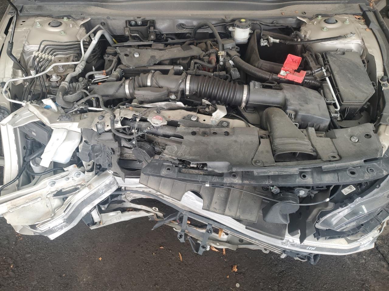 2019 Honda Accord Lx VIN: 1HGCV1F1XKA043716 Lot: 42397645