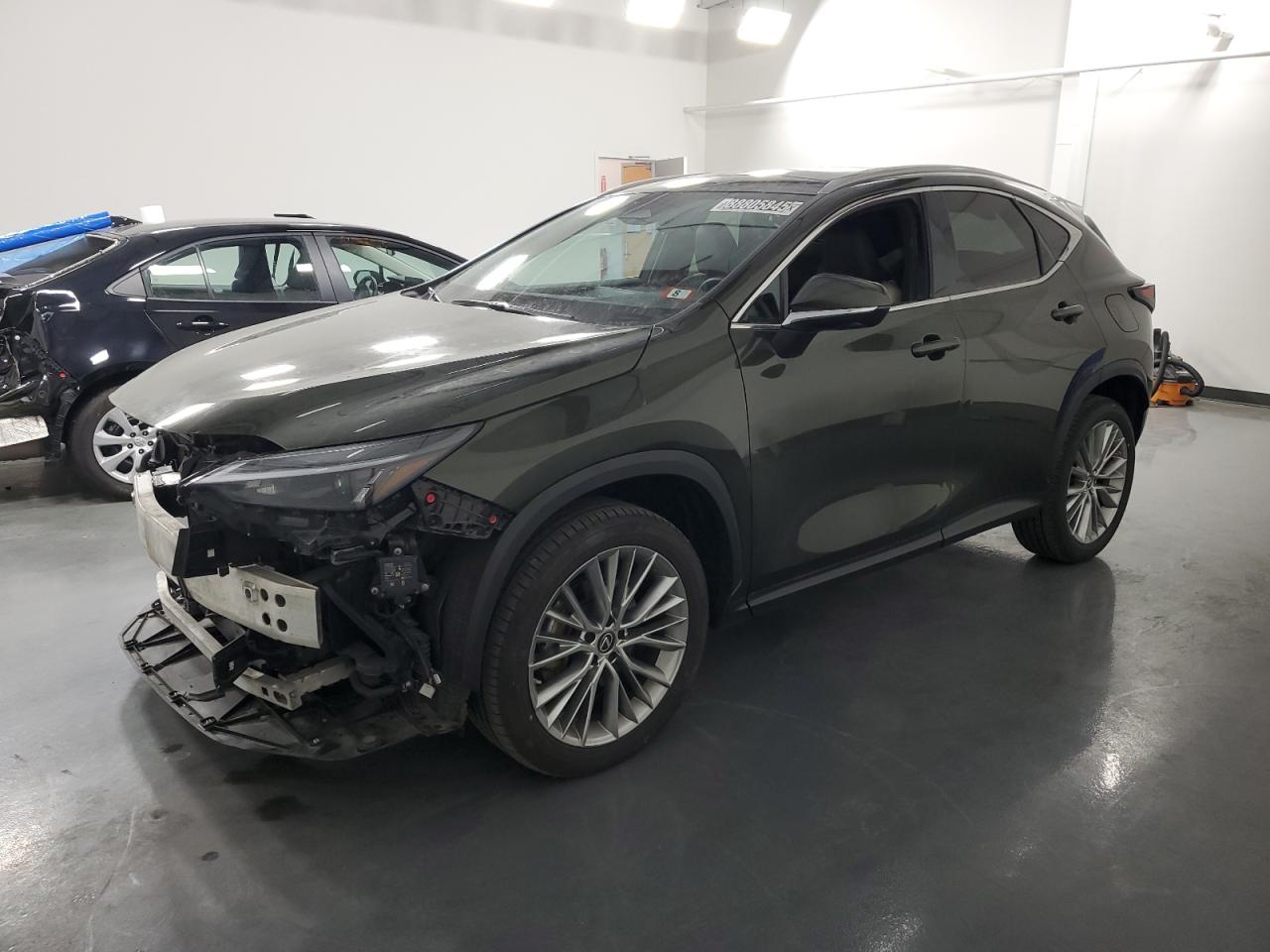 2023 Lexus NX - Image 1