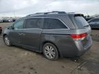 2014 Honda Odyssey Exl zu verkaufen in Denver, CO - Hail