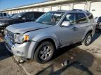 2009 Ford Escape Hybrid de vânzare în Louisville, KY - Front End