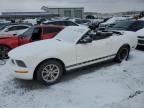2007 Ford Mustang  for Sale in Earlington, KY - Side