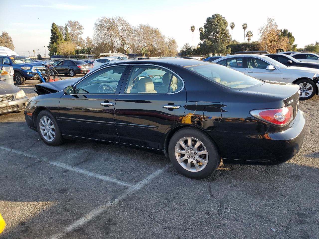 2004 Lexus ES - Image 2