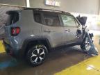 2020 Jeep Renegade Trailhawk zu verkaufen in Indianapolis, IN - Front End