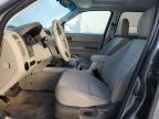 2011 Ford Escape Xlt იყიდება Rapid City-ში, SD - Hail