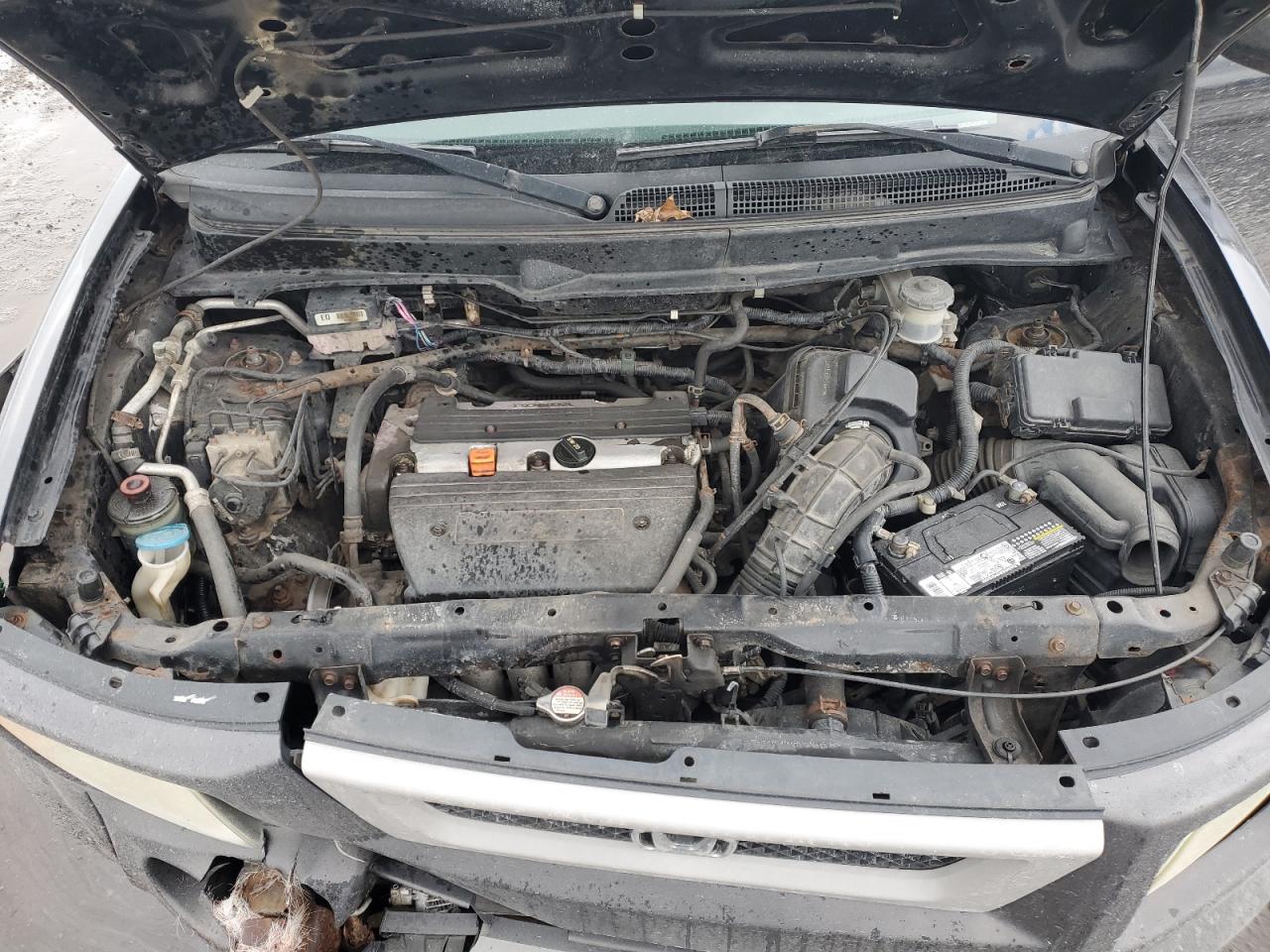 2004 Honda Element - Image 13