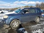 2011 Honda Pilot Ex للبيع في Brookhaven، NY - Rear End