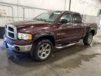 2004 DODGE RAM 1500 ST for sale at Copart MN - ST. CLOUD