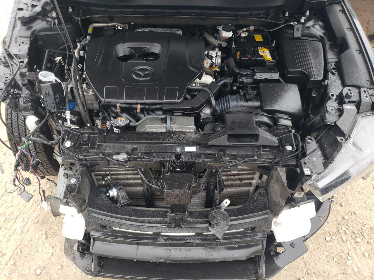 2024 Mazda CX-5 - Image 12