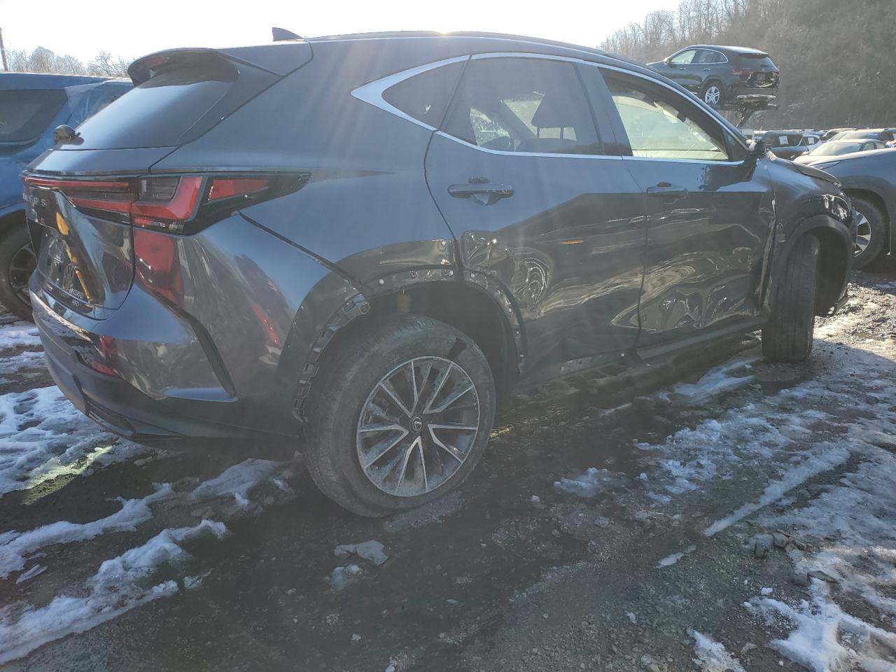 2024 Lexus NX - Image 3