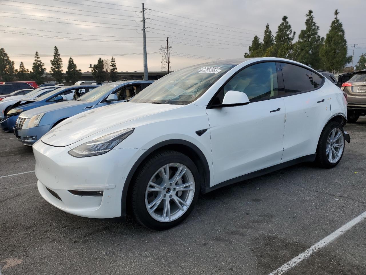 2022 Tesla Model Y  for Sale in Rancho Cucamonga, CA - All Over