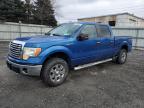 2010 Ford F150 Supercrew продається в Albany, NY - Rear End