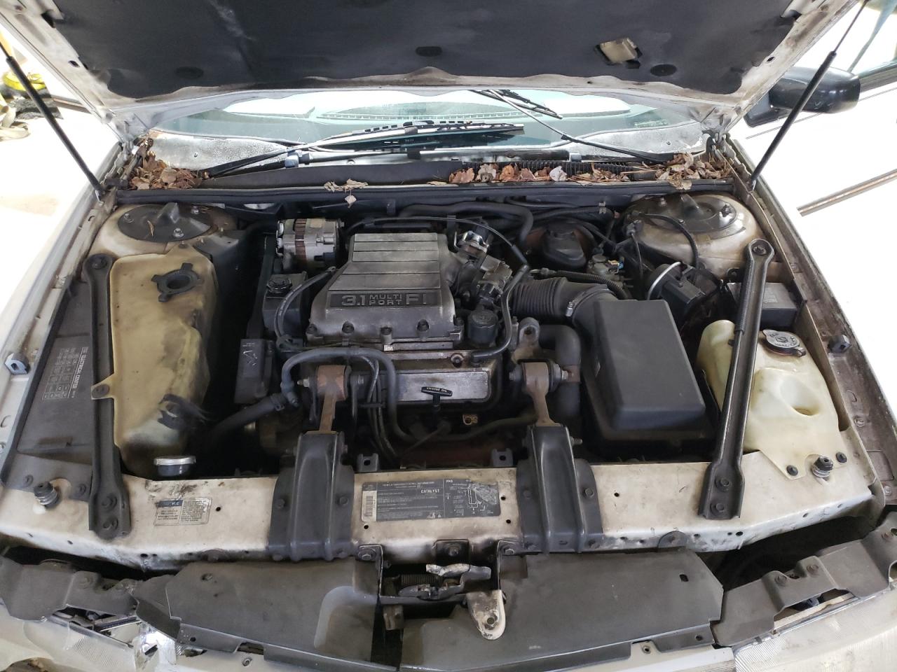 1992 Chevrolet Lumina Euro VIN: 2G1WN54T0N1116266 Lot: 51584465