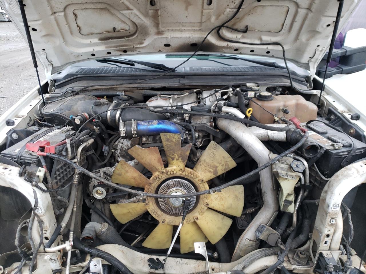 2008 Ford F250 Super Duty VIN: 1FTSW21R98ED88621 Lot: 88956335