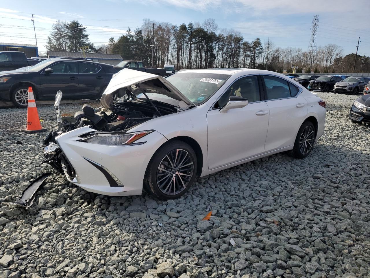 2024 Lexus ES - Image 1