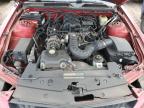 2008 Ford Mustang  for Sale in Albuquerque, NM - Side