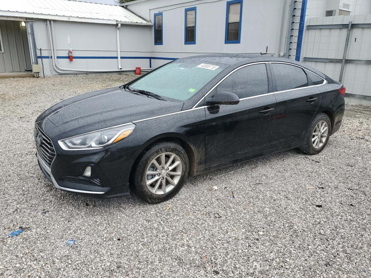 2019 Hyundai Sonata - Image 1