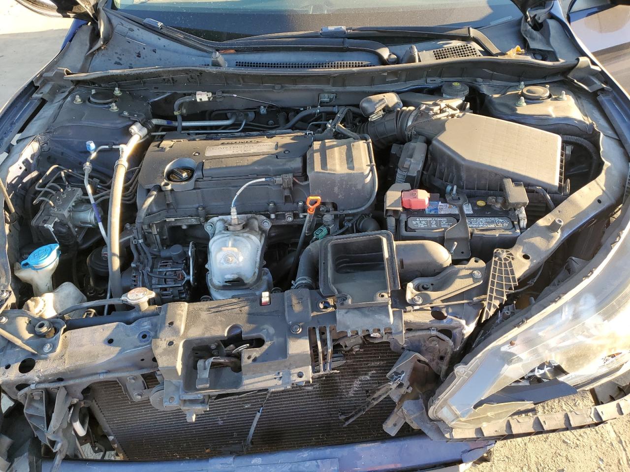 VIN 1HGCR2F36EA148026 2014 HONDA ACCORD no.11