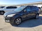 2013 Ford Escape Se na sprzedaż w Louisville, KY - Rear End