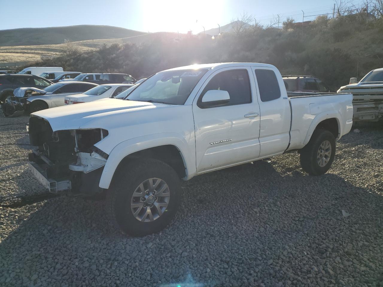 2019 Toyota Tacoma - Image 1