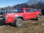 2023 TOYOTA TACOMA DOUBLE CAB à vendre chez Copart MA - NORTH BOSTON