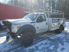 2015 Ford F550 Super Duty zu verkaufen in Sandston, VA - Front End