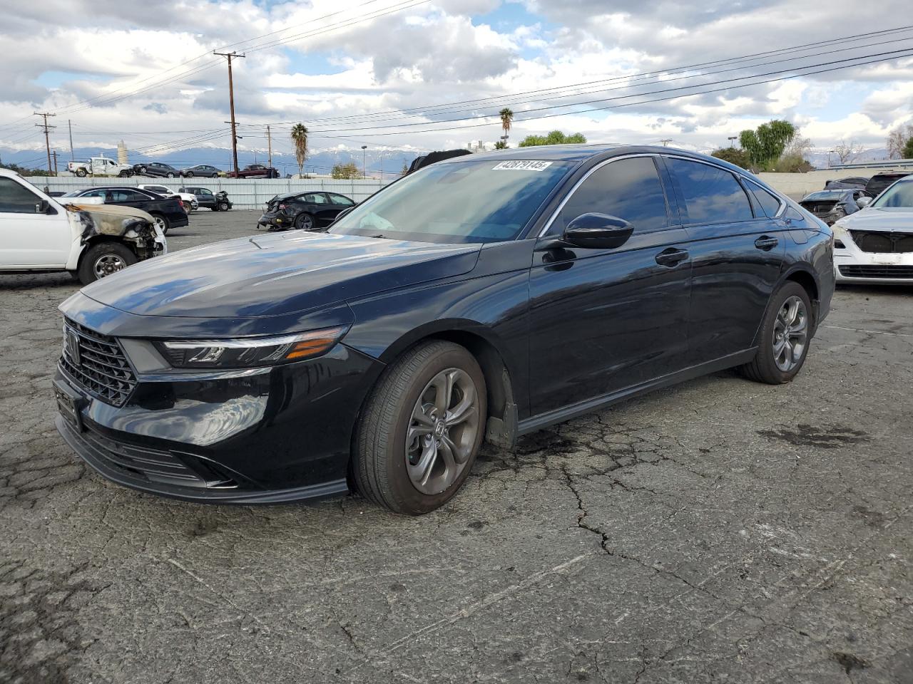 2024 Honda Accord - Image 1