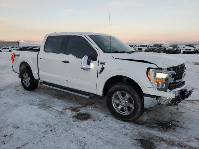  FORD F-150 2021 Белы