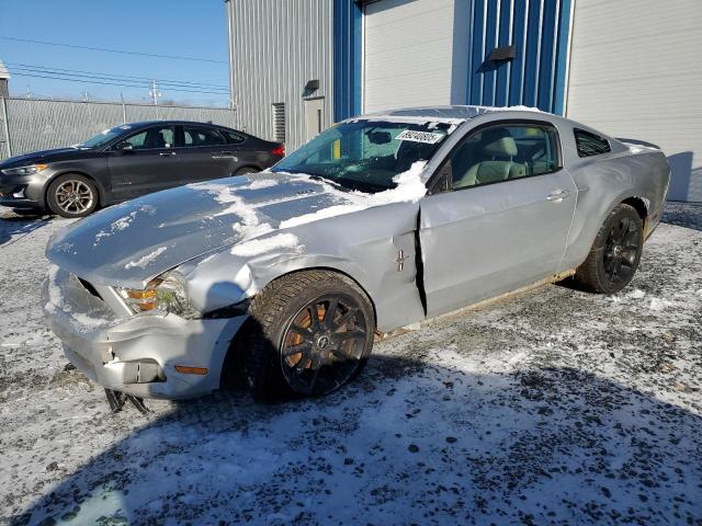 2010 Ford Mustang 