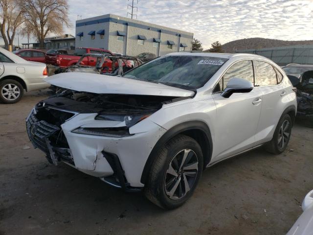  LEXUS NX 2020 Білий