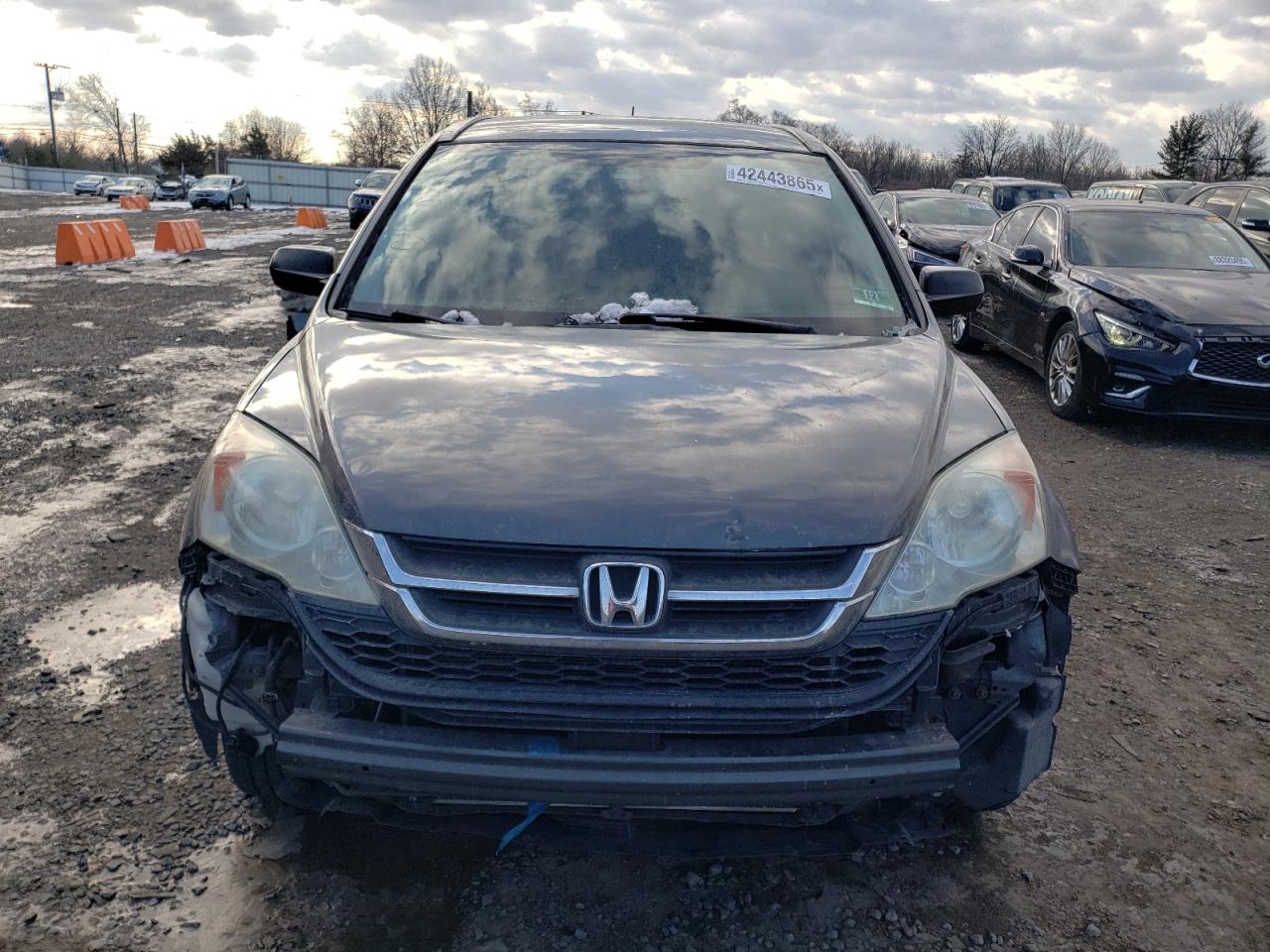 2010 Honda CR-V - Image 5