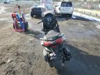 2023 YAMAHA CZD300 A for sale at Copart NY - LONG ISLAND