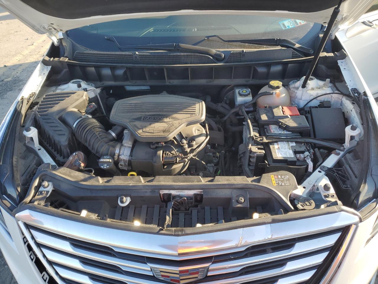 2019 Cadillac Xt5 VIN: 1GYKNARS3KZ184945 Lot: 86335754