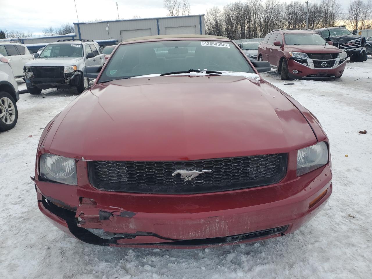 2009 Ford Mustang - Image 5