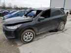 2024 Ford Escape Active for Sale in Lawrenceburg, KY - Burn