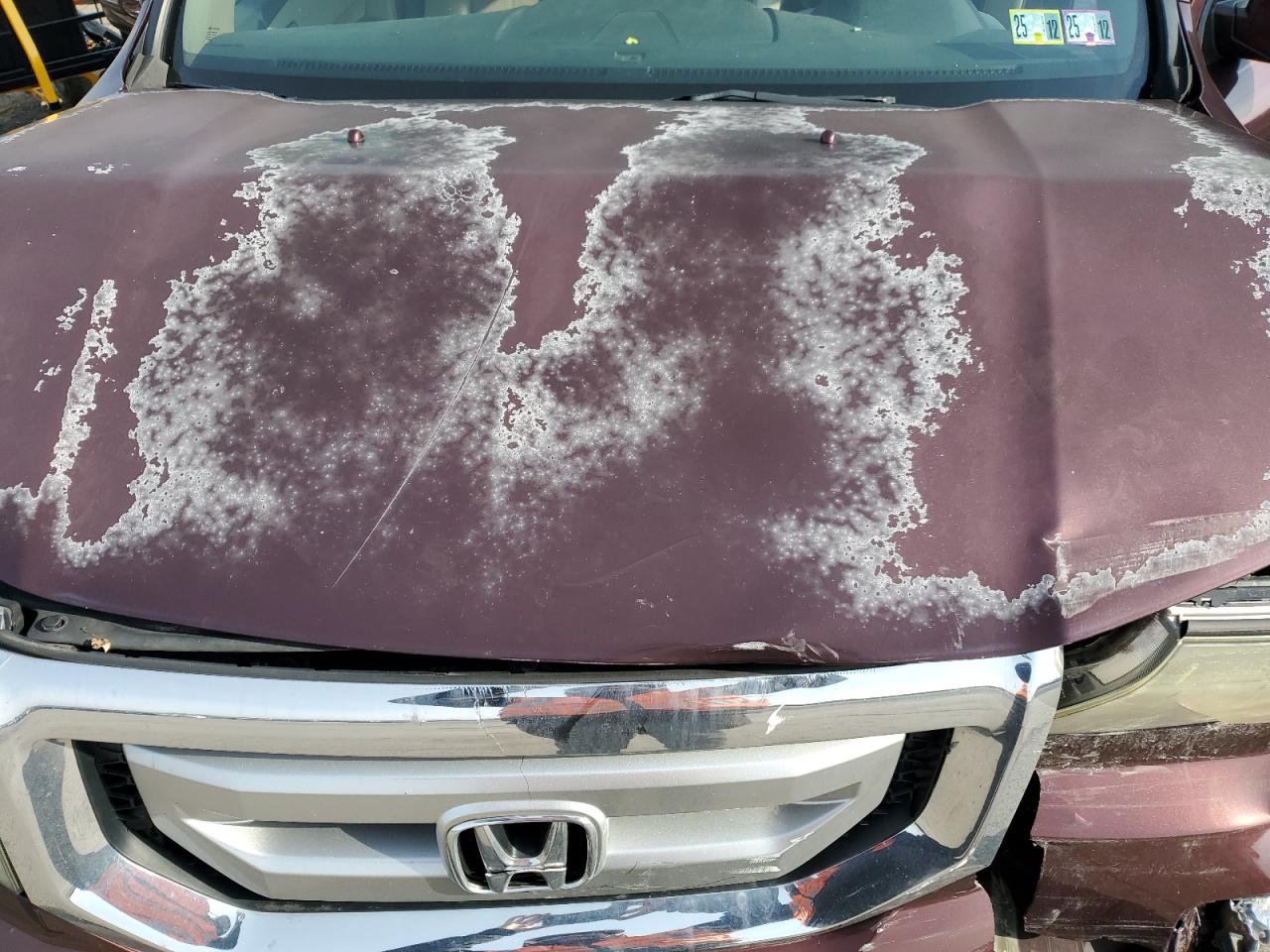 2009 Honda Pilot Exl VIN: 5FNYF48599B049186 Lot: 87017234