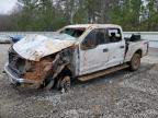 2018 Ford F250 Super Duty na sprzedaż w Ellenwood, GA - All Over