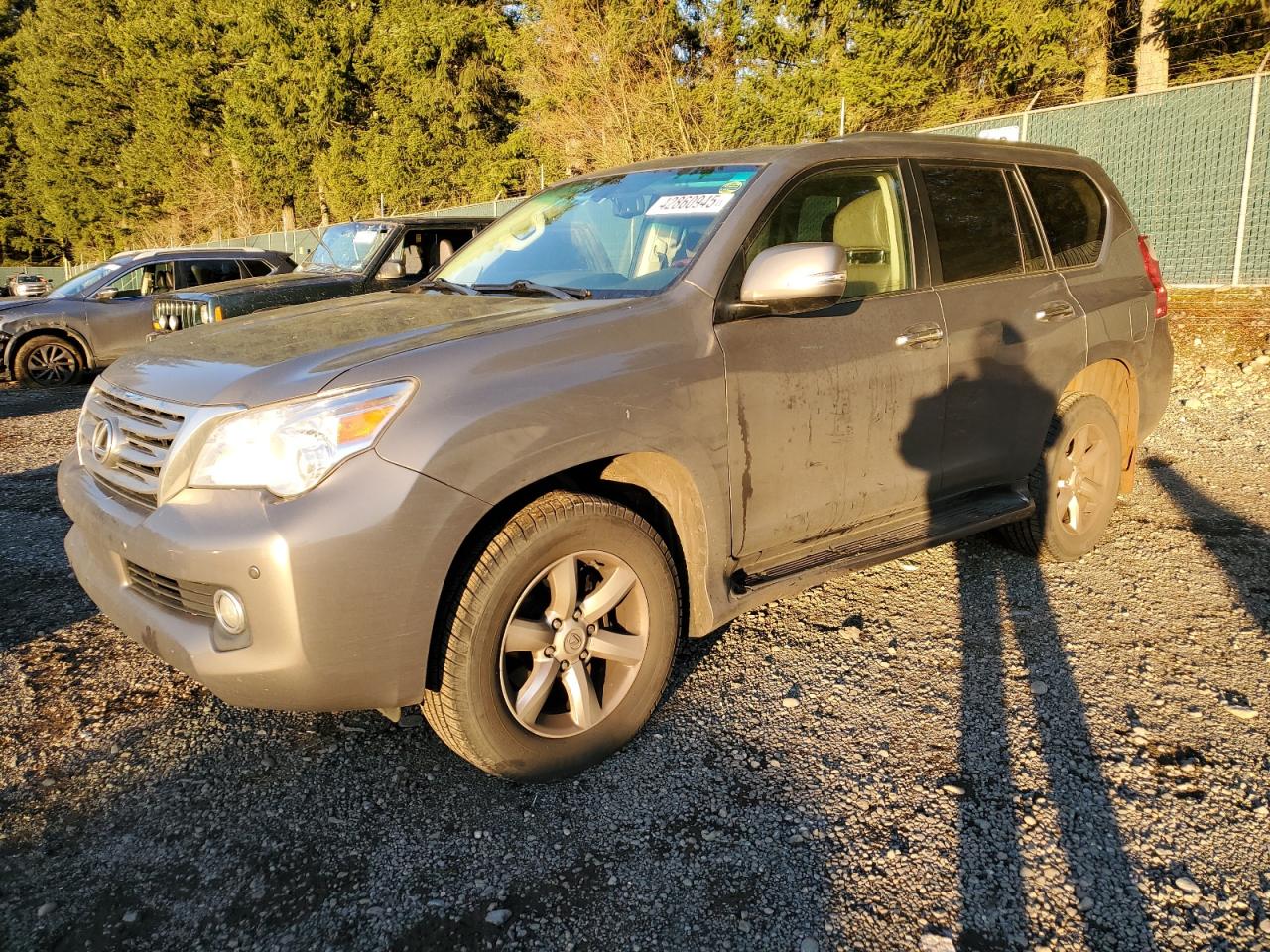 2010 Lexus GX - Image 1